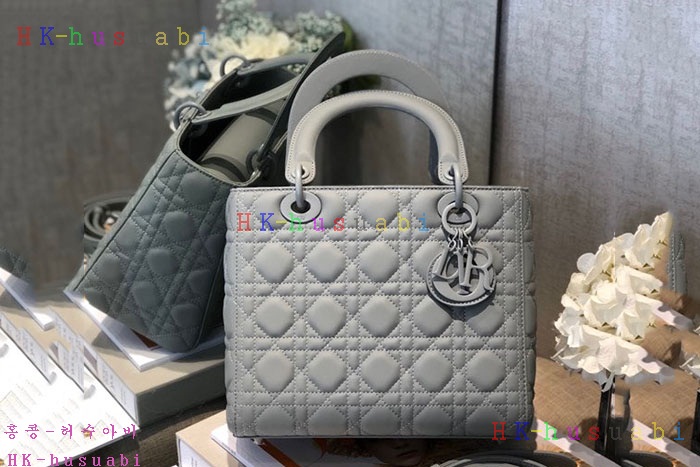 ★미러급★ 디올 레디이백  DR M0565