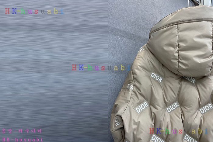 NEW 디올 패딩 신상 DR 9582212